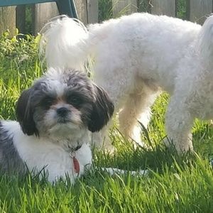 Meet your Posher, Mary ann